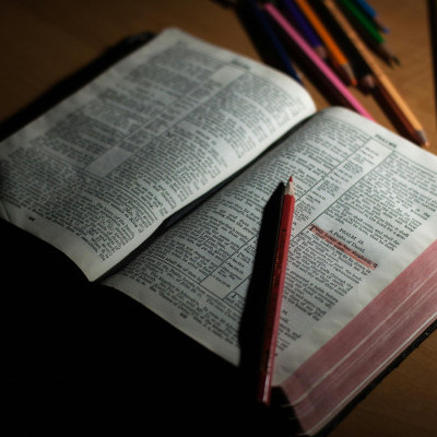 Fresh ways to read your Bible in 2025